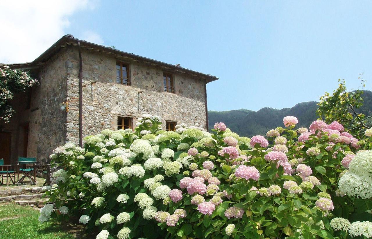 Villa Bottino By Salogi Villas San Martino in Freddana Exteriör bild