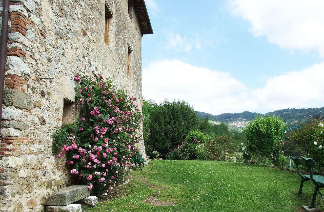 Villa Bottino By Salogi Villas San Martino in Freddana Exteriör bild